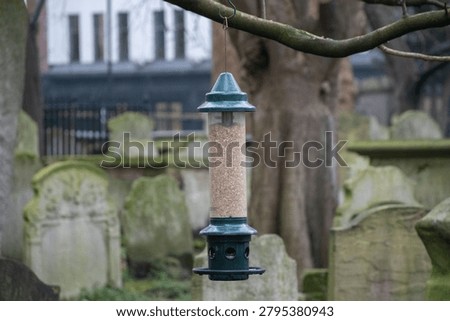 Bird feeder designed to keep squirrels away, set in a peaceful graveyard environment.