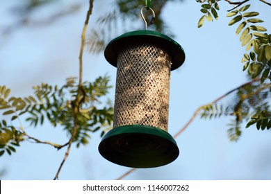 speckled tit birdfeeder Speckled tit birdfeeder