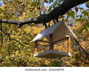 Bird Feeder Hanging On A Tree Branch