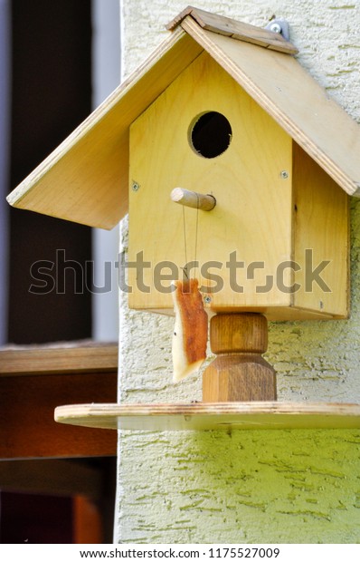 Bird Feeder Hanging Wall Piece Lard Stock Photo Edit Now 1175527009