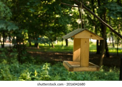 The bird feeder hangs from the tree. Feeding birds in the park. Bird watching, ornithology.