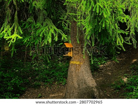 bird feeder on a tree