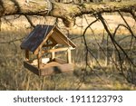 bird feeder on tree branch in spring park