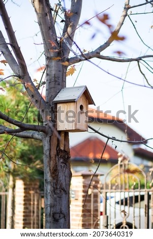 Bird feeder on a tree close up