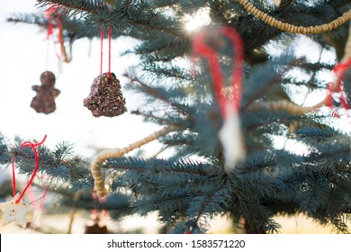 Bird Feeder Ornaments On Christmas Tree