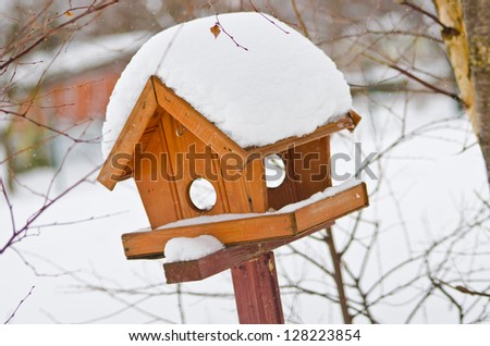 Bird feeder in the park during the cold winter