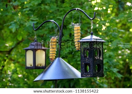 Bird feeder set up with a squirrel baffle 