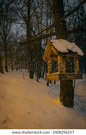 Bird feeder in snowy forest. Wooden bird house in winter park in the evening. Animal care concept. Handmade bird feeder in snow on the tree. Wintertime concept. Winter landscape. Wildlife protection.