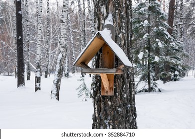 Bird Feeder In Winter Park