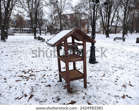Bird feeder in the winter park in evening
