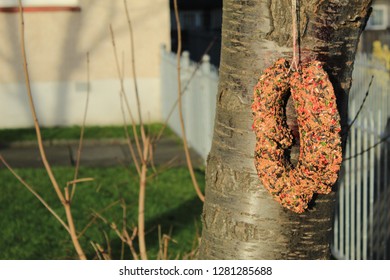 Bird Feeder Wreath