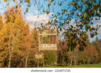 Bird Feeders In The City Autumn Park. Bird Feeder On Background Of Yellow Autumn Foliage. Autumn Landscape.