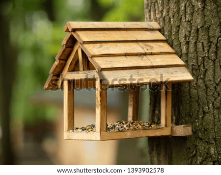 Bird feeders. tree house for the birds, cheerful apartment 
