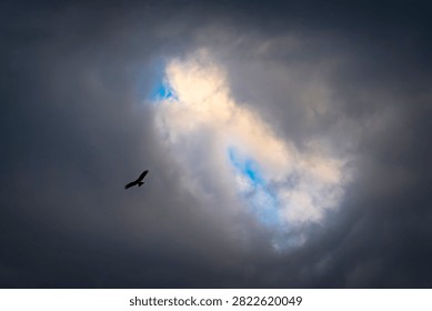 A bird flies through a dramatic cloudy sky.