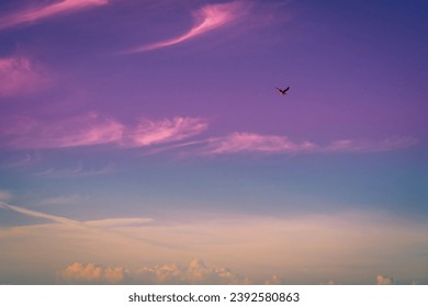 A bird flies through a purple sky, its wings spread wide. The sky is dark and stormy, but the bird is undeterred. It flies on, its head held high. The bird is a symbol of hope and resilience. It is a  - Powered by Shutterstock