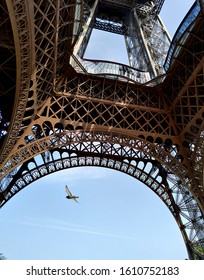 bird flies under the eiffel tower in paris france over blue sky
