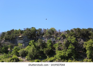Bird in Flight over Cliffs