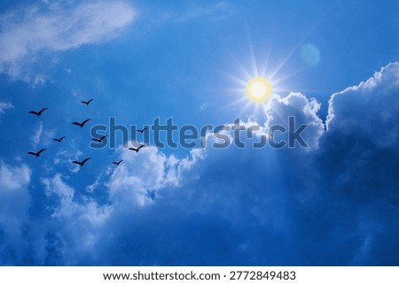 Bird Flock Dancing Through the Sun Flare