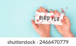 Bird flu virus outbreak, Avian influenza, infectious disease spreading to mammals and humans, sick animals
