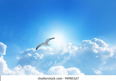 Bird Flying Above The Clouds With A Glowing Sun And Deep Blue Sky