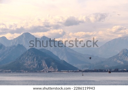 Bird flying above the Mediterranean Sea and mountains peak in the distance seen from Antalya coast, Turkey