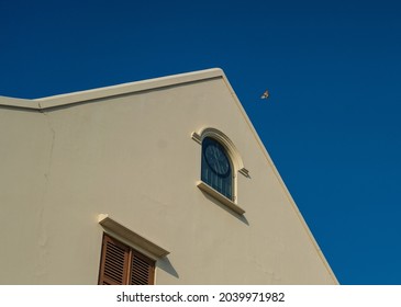 A bird flying above minimalist building during blue hours