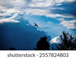 Bird flying amongst scattered clouds. Moody skies. Storm brewing. Great Britian. UK.