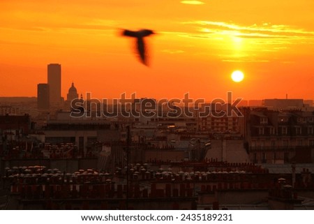 Bird flying in a beautiful and poetic sunset sky, in Paris, France, with buildings and monuments in the horizon, orange and yellow lights illuminating the clouds and the city