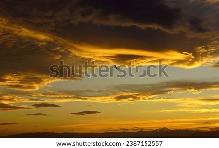 A bird flying in a cloudy sky, at sunset, in Attica, Greece