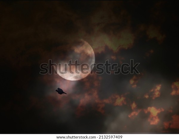 A\
bird flying and full moon in cloudy sky in dark\
night