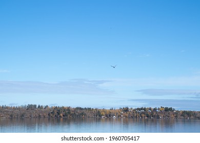 A Bird Flying Over Falcon Lake