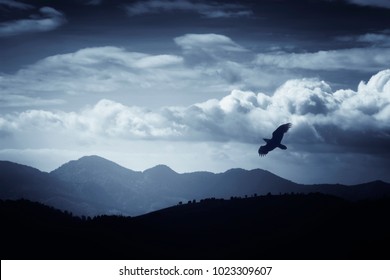 bird flying over hills and mountains in fantastic landscape