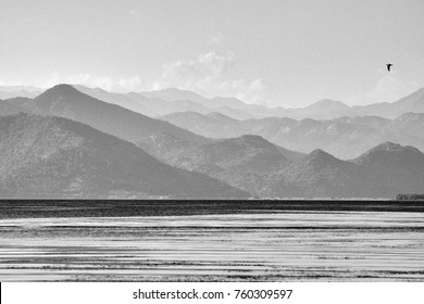 Bird flying over the lake with mountains in a background