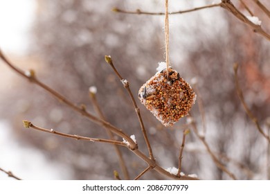 Bird Food Hangs On A Rope Outside In Winter. The Concept Of Good Deeds, Nature, DIY