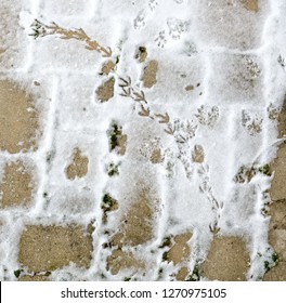 Bird Foot Prints On White Snow With Brown Brick Showing. Shot From Above