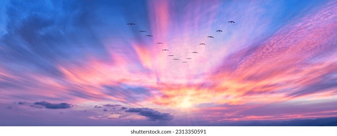 A Bird Formation Silhouette Is Soaring Above The Colorful Clouds At Sunset Banner
