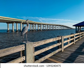 Bird framed on the Biloxi/Ocean Springs Mississippi bridge. on the gulfcoast, beautiful skies and water seen in the shot