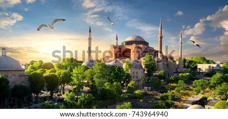 Bird and Hagia Sophia at sunset in Istanbul, Turkey.
