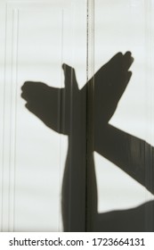 Bird Hand Shadow On The Wall