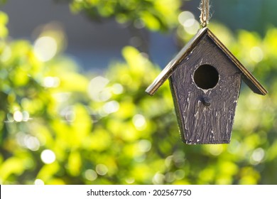 A Bird House Or Bird Box In Summer Or Spring Sunshine With Natural Green Leaves Background