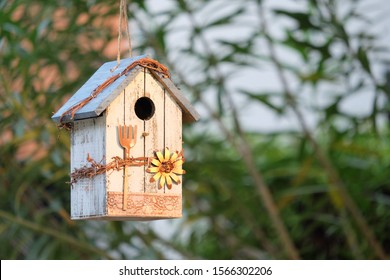 A bird house decorated in a garden makes our backyard beautiful. And there are birds creating a fresh atmosphere in the backyard.