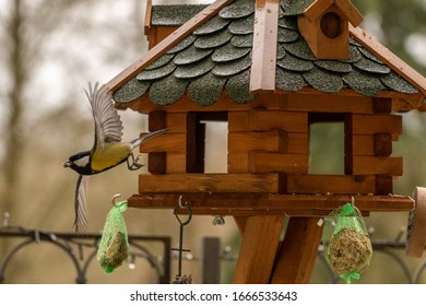 Hansa Park Images Stock Photos Vectors Shutterstock Hansa Park Images Stock Photos Vectors Shutterstock
