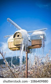 Bird House In An Ice Storm