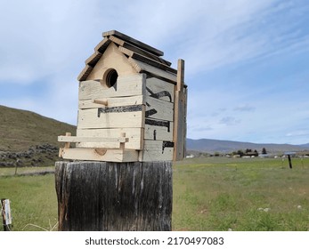 Bird House In Middle Of Nowhere 