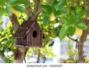 Bird House On The Tree.