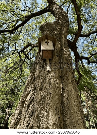 Similar – Image, Stock Photo underhand Spring Tree