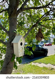 Bird House For Seasonal Birds In The Backyard