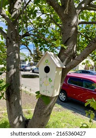 Bird House For Seasonal Birds In The Backyard