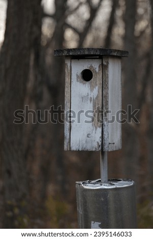 Bird house with worn away white paint and metal baffle in late autumn at a public park. 