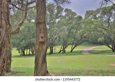 A  Bird Houses In The Park Hog Kong